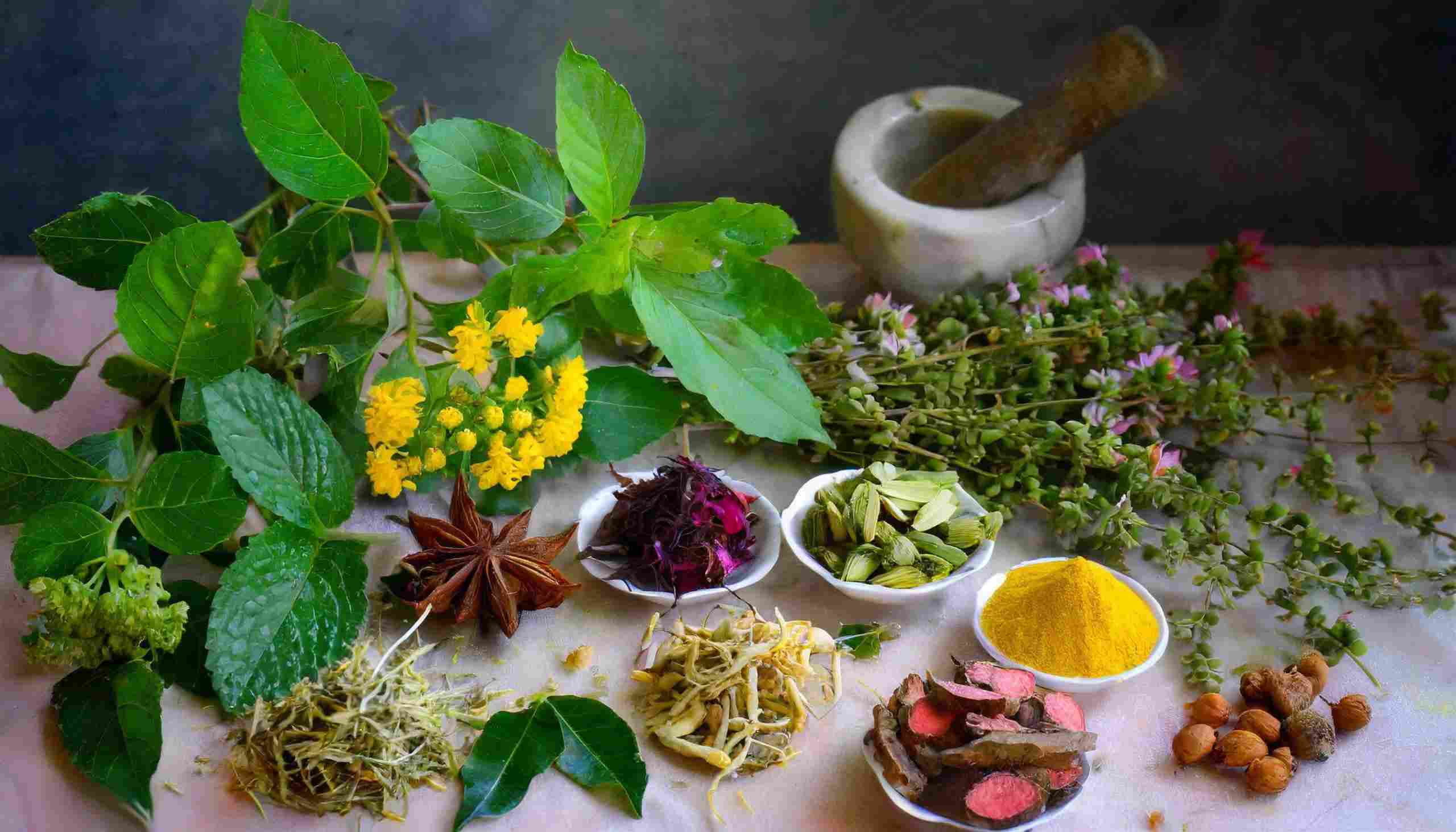 Medicine Price In Nepal Medicine Price In Nepal
