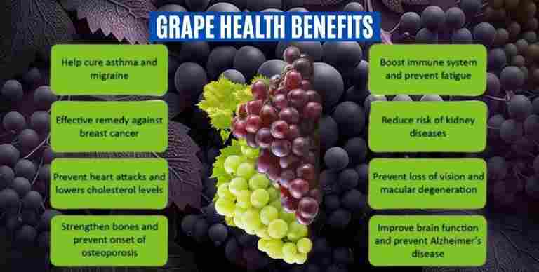 Angur: Grapes: Vitis vinifera Benefits, Uses & More! – Easy Ayurved