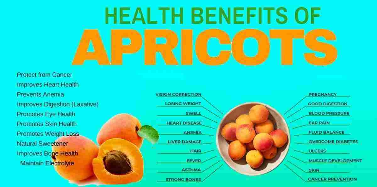 Apricots: Khurpani: Prunus armeniaca Benefits, Uses, And More