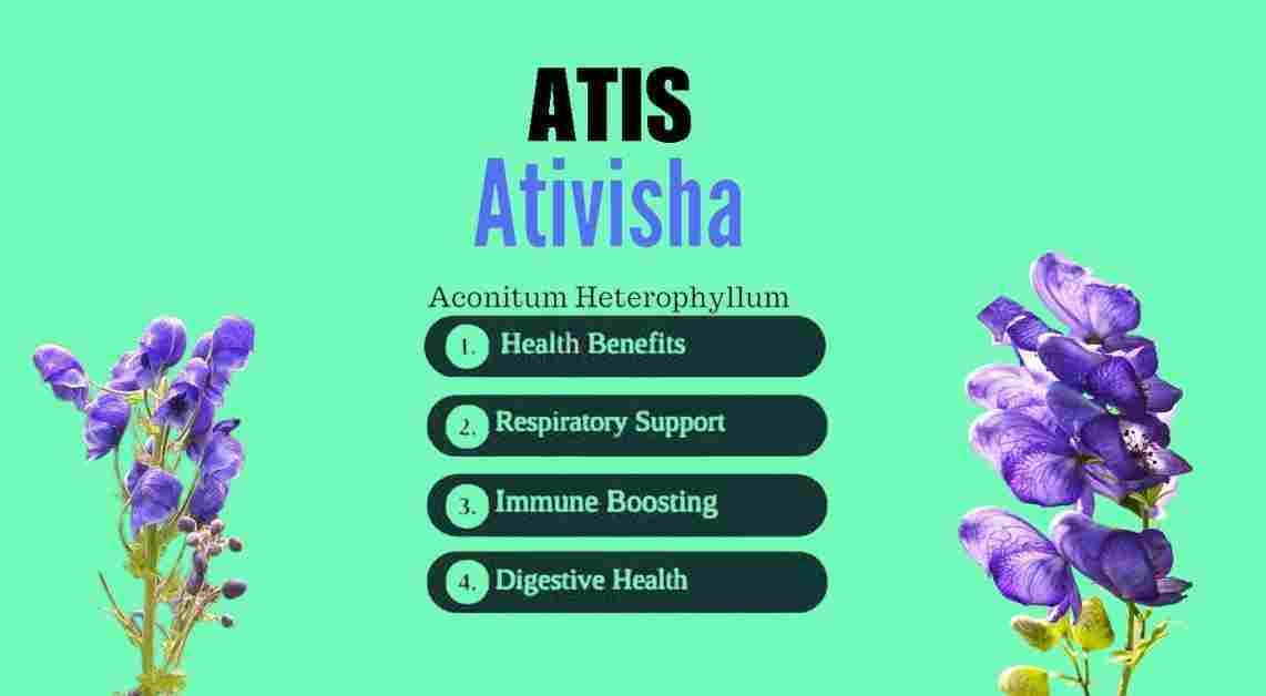 Atis : Aconitum heterophyllum; Benefits, Uses, And More