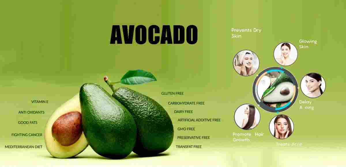 Avocado: Persea Americana Benefits, Uses and More