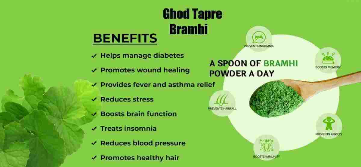 Brahmi: Unlocking Its Uses, Benefits, Precautions, and Side Effects