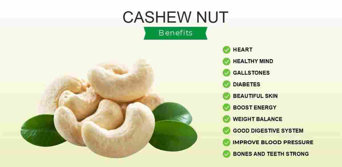 Cashew Nuts: Kaju : Anacardium Occidentale Benefits , Uses & More
