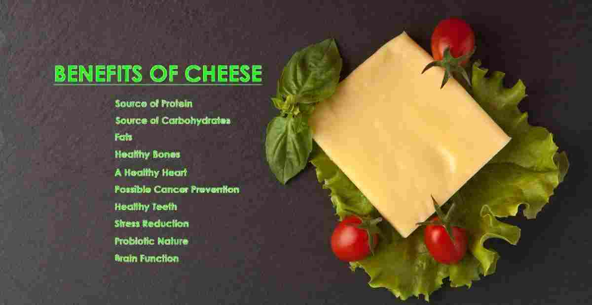 Cheese: Benefits, Use & Ayurvedic Perspective