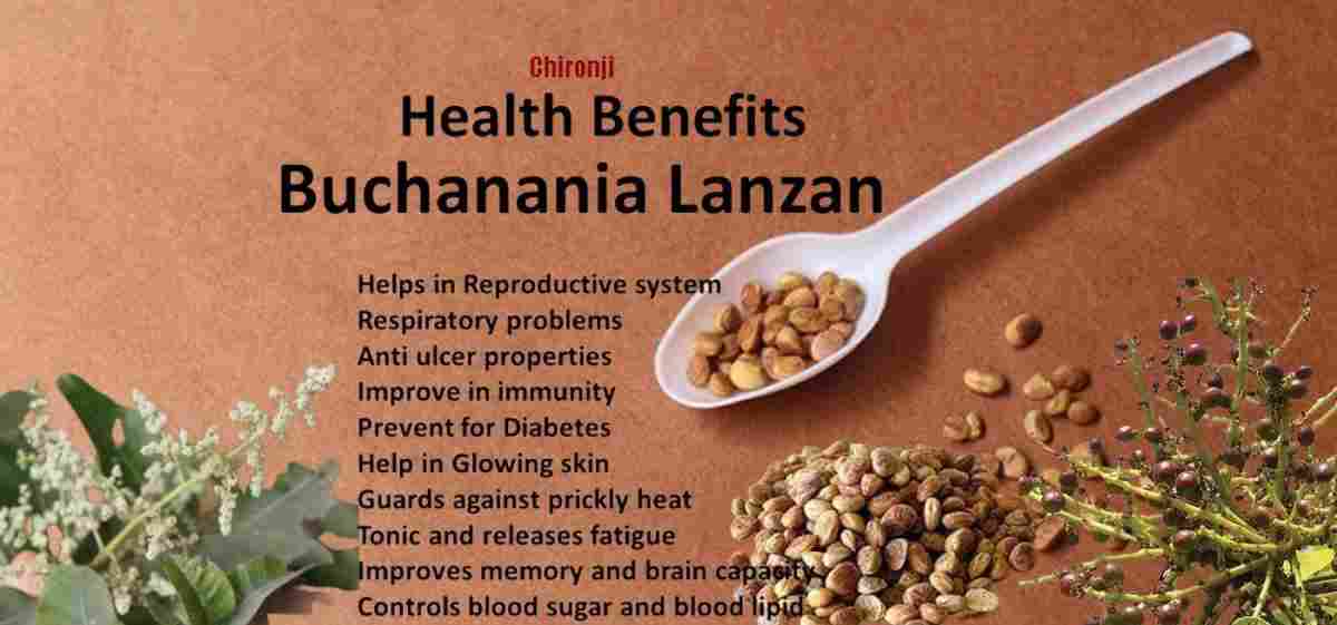 Chirauji: Buchanania lanzan: Almondette Benefits, Uses and More
