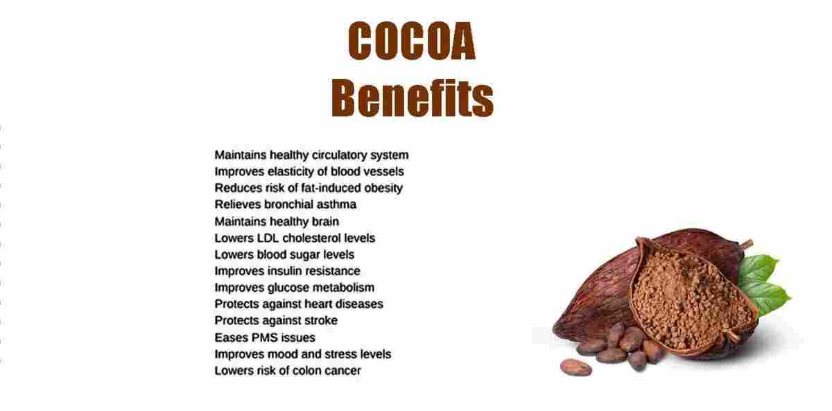 Cocoa: Dark Chocolates Base Ingredient Benefits, Uses And More!