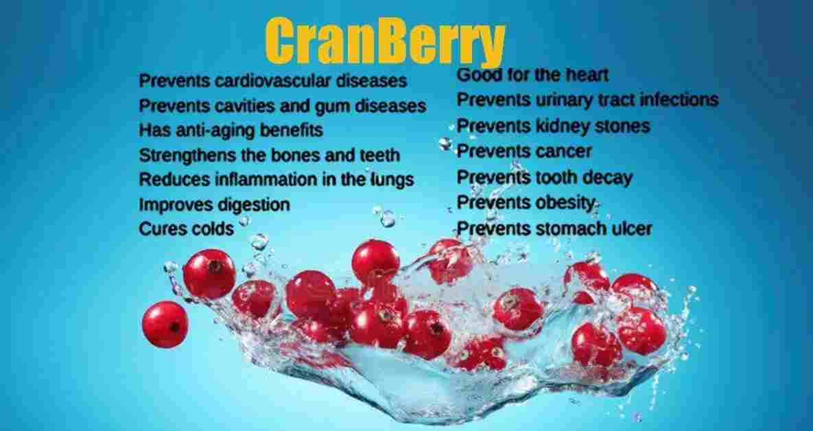 Cranberries Benefits, Uses, Nutrition & More!