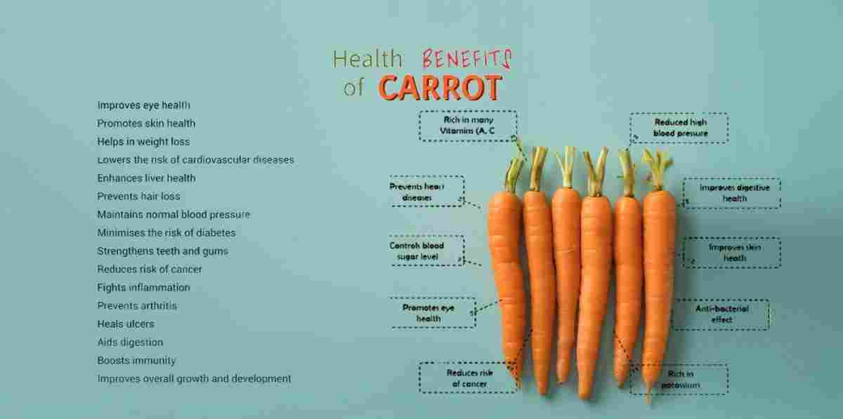 Gajar: Carrots: Daucus carota Benefits, Uses & More!