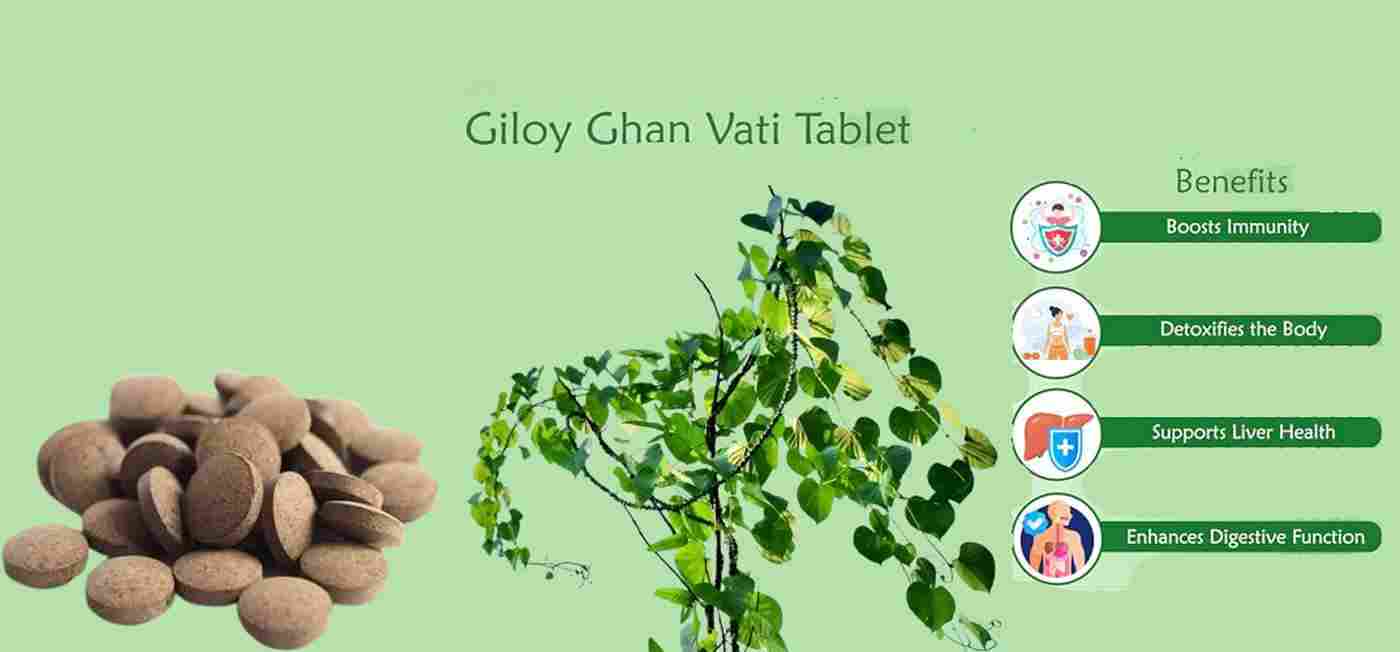 Giloy Ghan Vati Benefits, Uses, Preparation and Precaution