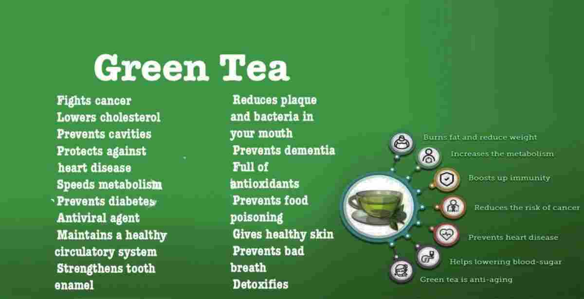 Green Tea: Camellia sinensis Benefits, Uses and More!