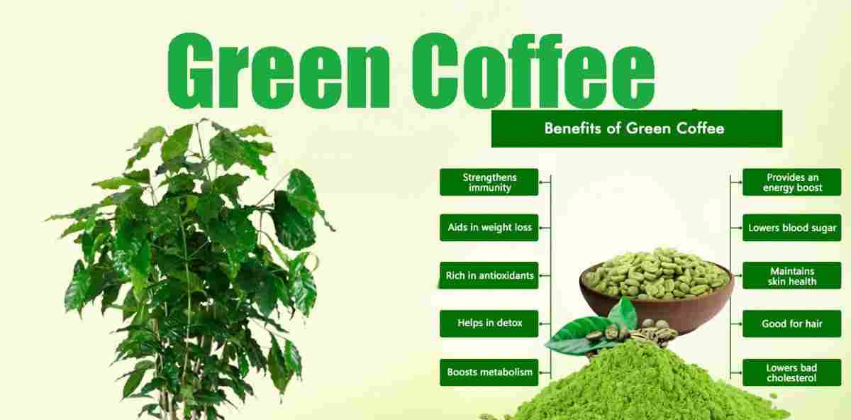 Green coffee Benefits, Uses, and More!