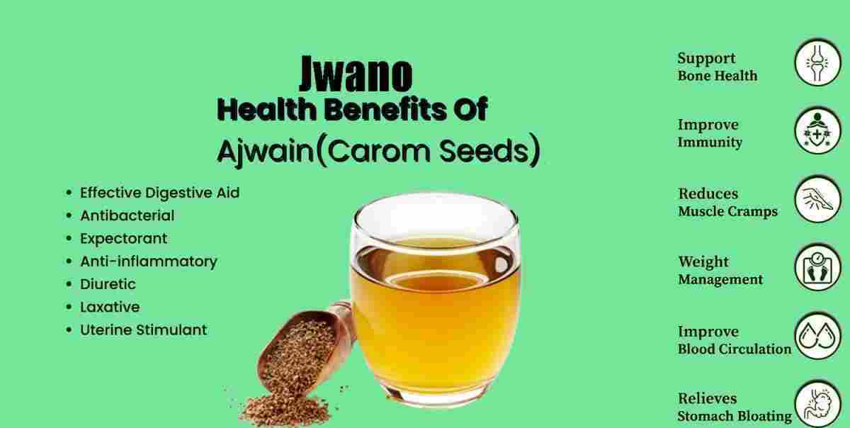 Jwano: Ajwain Benefits, Uses, and More about Carom Seeds