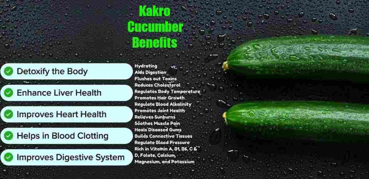 Kakro: Cucumber: Cucumus sativus Benefits, Use & More!