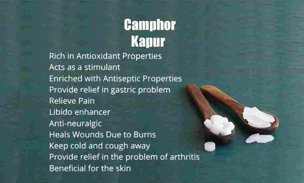 Kapur: Camphor: Cinnamomum camphora Benefits, Use and More!