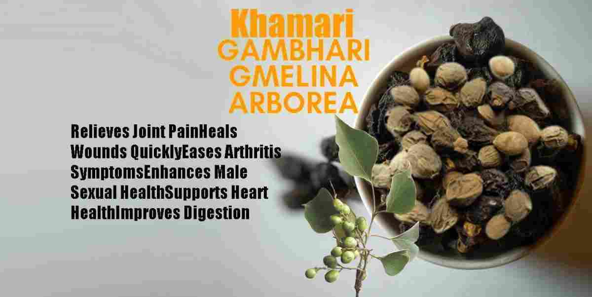 Khamari: Gambhari: Gmelina arborea Benefits, Uses & More!