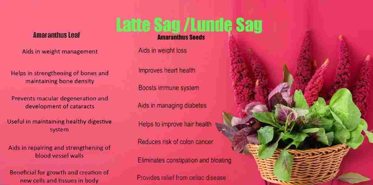 Latte Saag: Lunde Saag: Amaranthus Benefits, Uses And More!