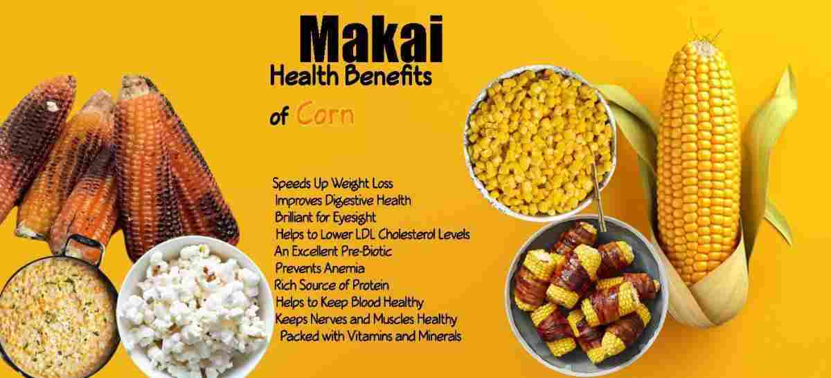 Makai: Corn: Zea mays: Maize Benefits, Uses & More!