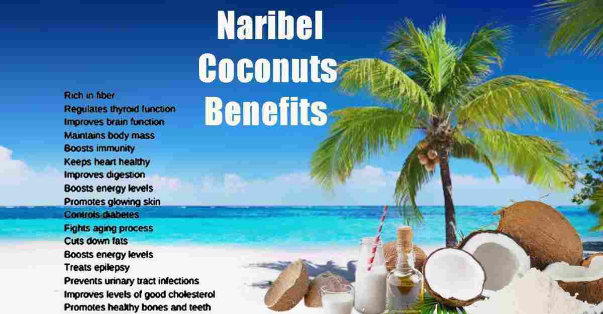 Naribel: Cocos nucifera: Coconut: Nariyal Benefits, Uses & More!