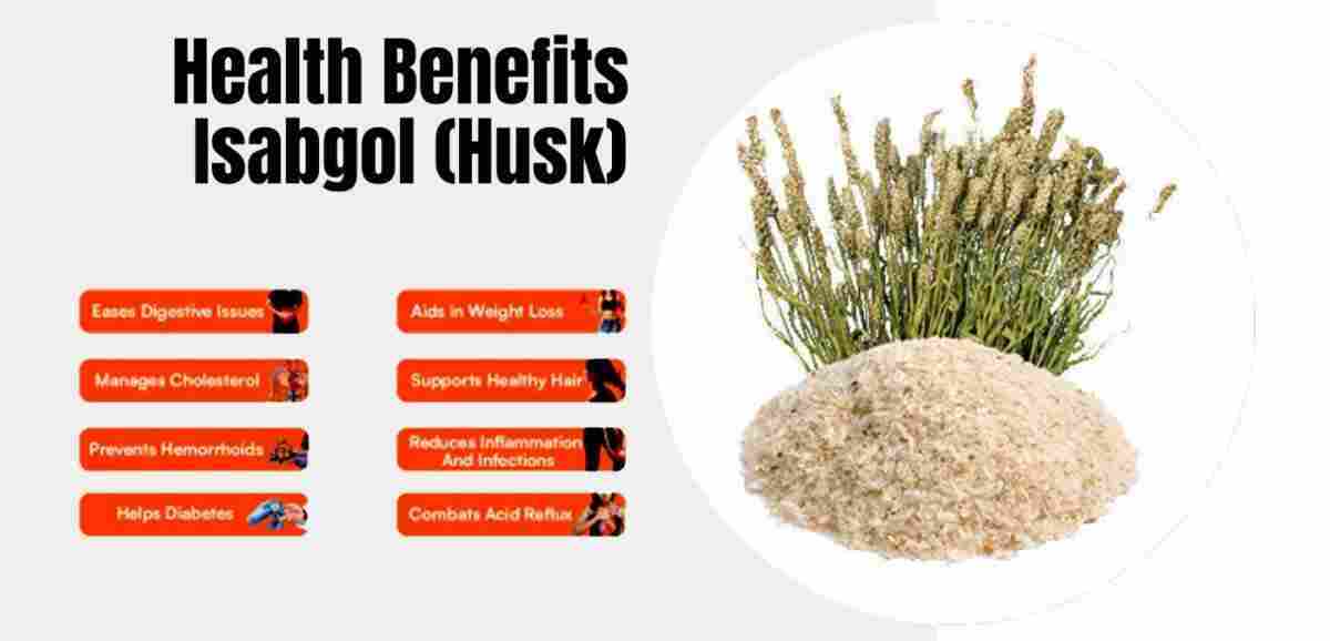 Isabgol: Bhusi: Psyllium husk: Plantago ovata Benefits, Usage, and Precautions