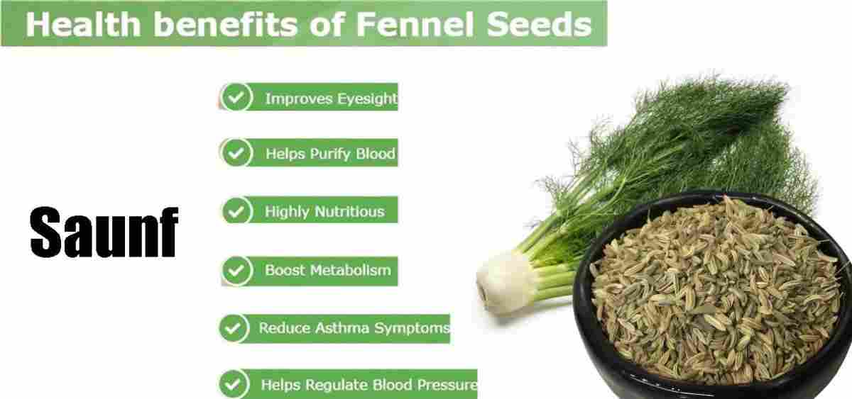 Saunf: Fennel Seed: Foeniculum vulgare: Benefits and More!