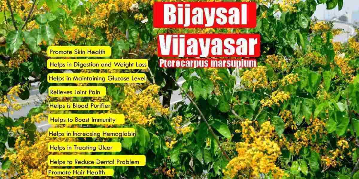 Bijaysal: Vijayasar: Pterocarpus marsupium Benefits, Usage, and Precautions