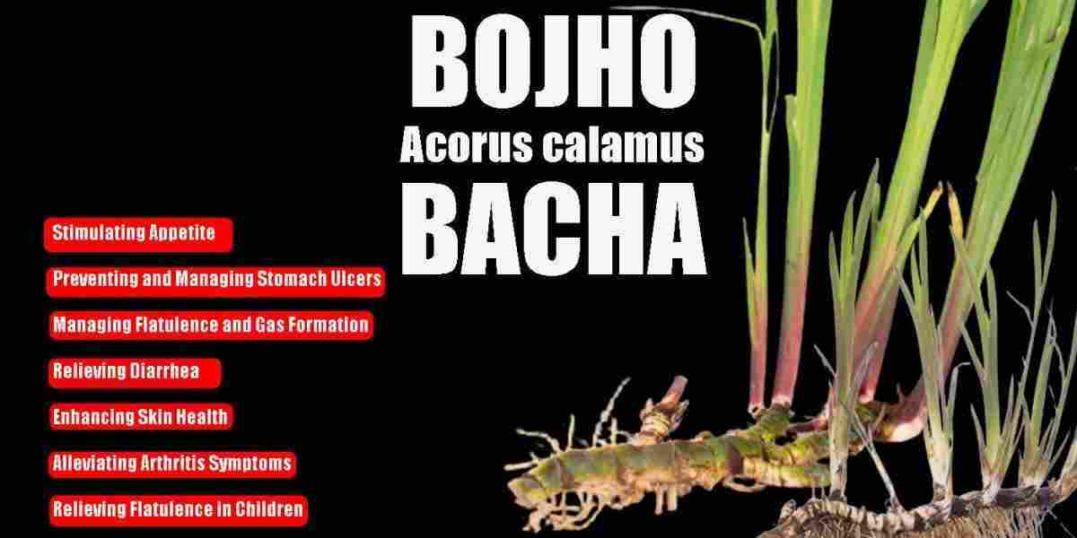 Bojho: Acorus calamus: Vacha Benefits, Uses, & More!