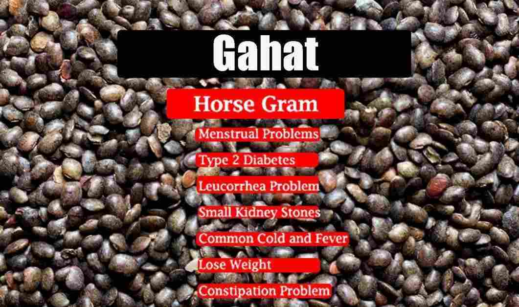 Gahat: Horse gram: Kulthi Benefits, Uses & More!