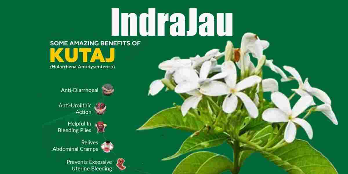 Indrajau: Kutaj Benefits, Uses, Precaution & More?