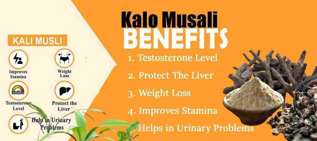 Kalo Musali: Curculigo orchioides: Kali Musli Benefits & More!