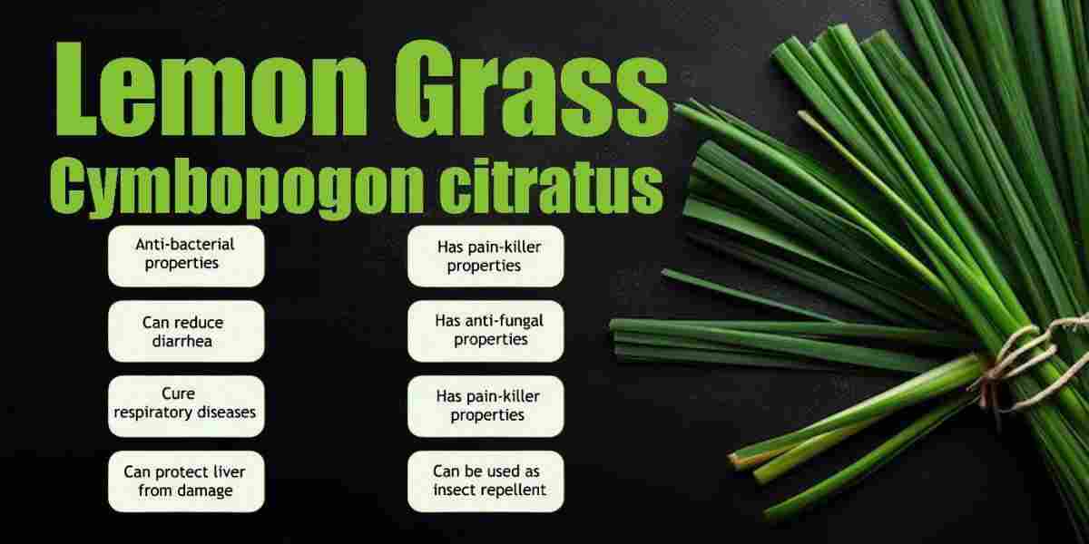 Lemongrass: Cymbopogon citratus Benefits, Uses & More!
