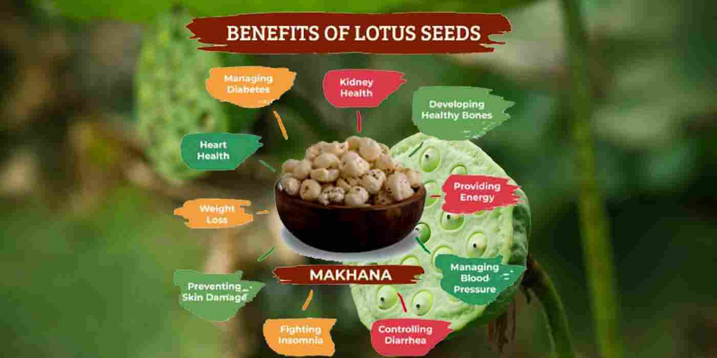 Makhana: Lotus Seeds Benefits, Uses, Precaution & More!