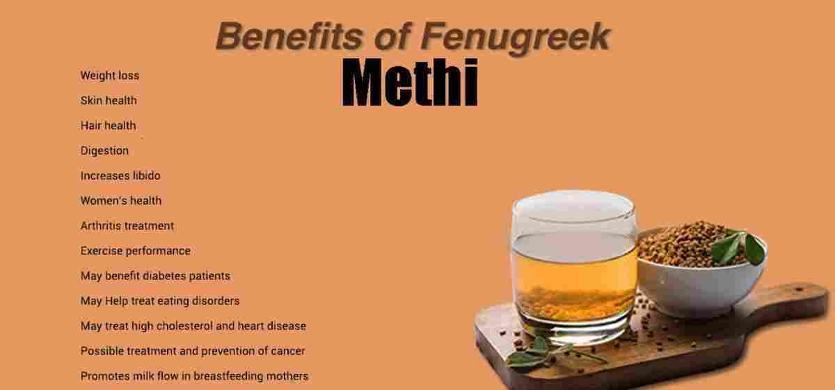 Methi: Fenugreek: Trigonella foenum-graecum Benefits and More!