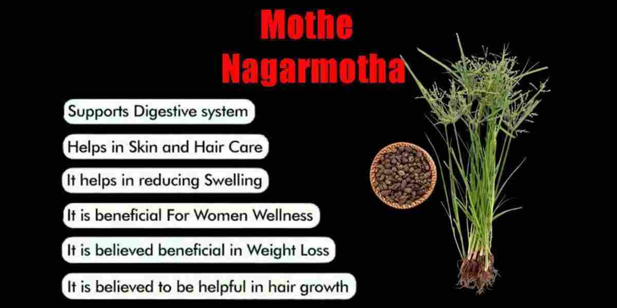 Mothe: Nagarmotha: Cyperus rotundus Benefits, Uses & More!