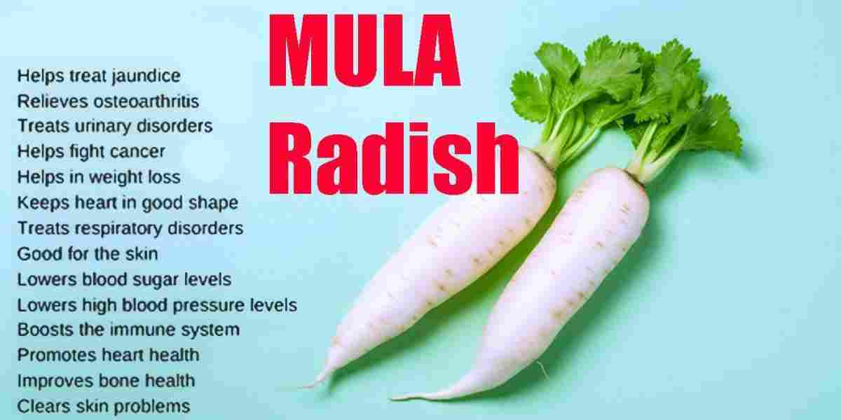 Mula: Radish: Raphanus sativus Benefits, Uses & More!
