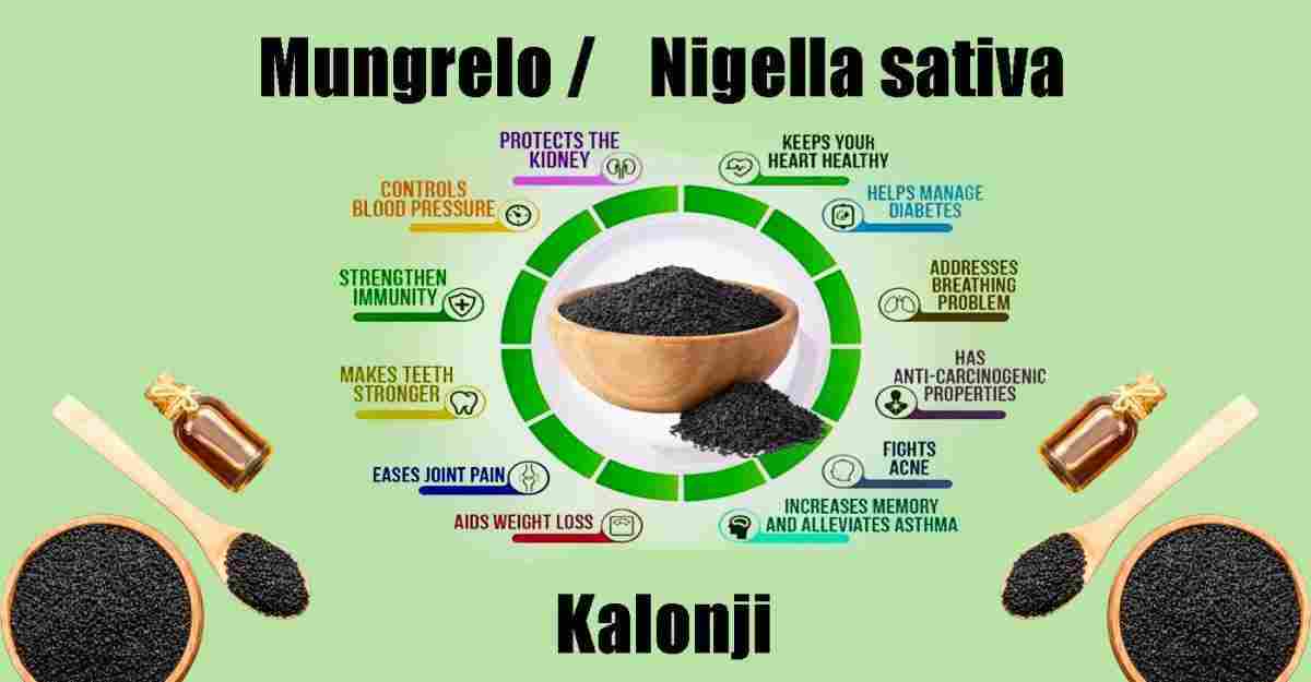 Mungrelo: Nigella sativa: Kalonji Benefits, Uses & More!