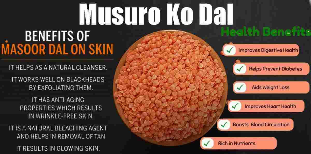 Musuro Dal: Masoor Dal: Lens culinaris Benefits, Uses & More!