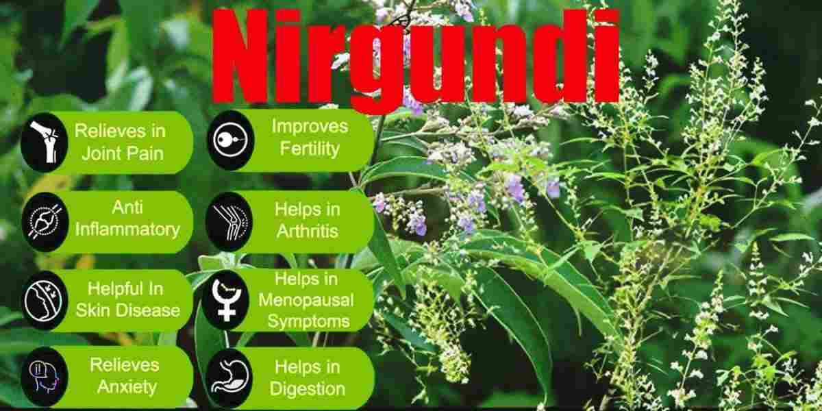 Nirgundi: Vitex negundo Benefits, Uses, Precaution & More!