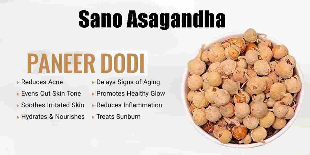 Sano Asagandha: Paneer Dodi: Withania coagulans Benefits, Uses, Precaution & More!