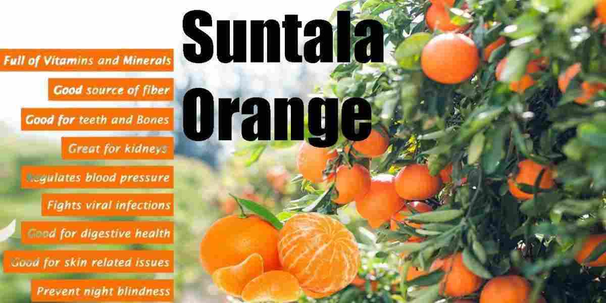 Suntala: Orange: Citrus sinensis Benefits, Uses, Precaution & More!