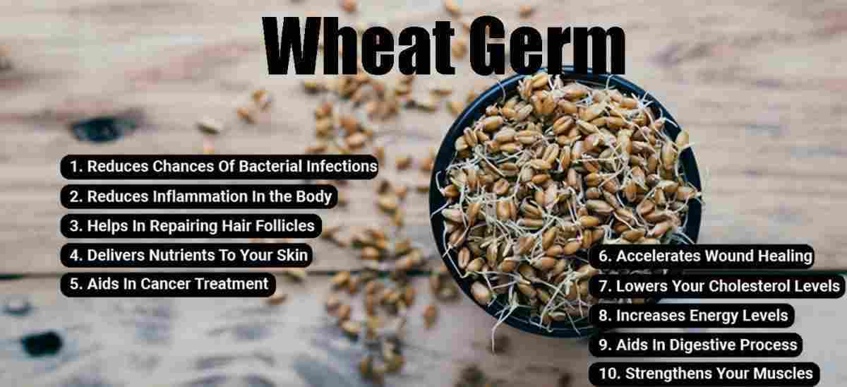 Wheat Germ: Benefits, Precautions, and Nutritional Insights & More