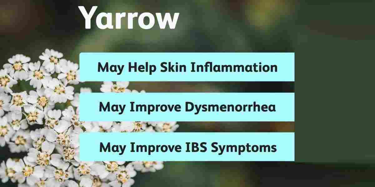 Yarrow: Uses, Benefits, and Precautions for Optimal Health