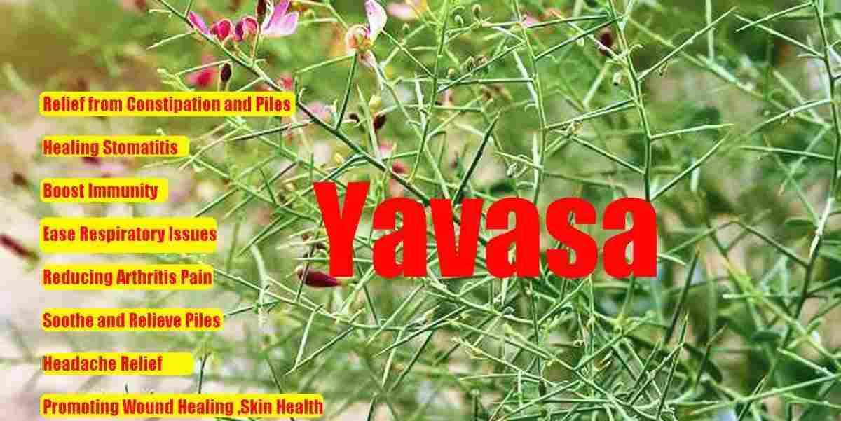 Yavasa: Uses, Benefits, and Precautions for Optimal Health