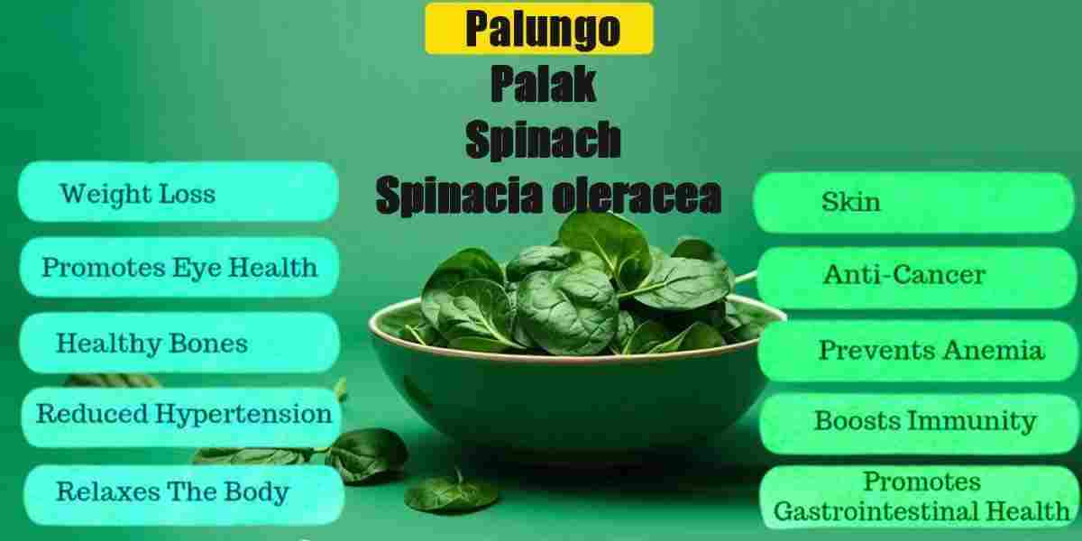 Palungo: Palak: Spinach: Spinacia oleracea Benefits, Uses, Precaution & More!