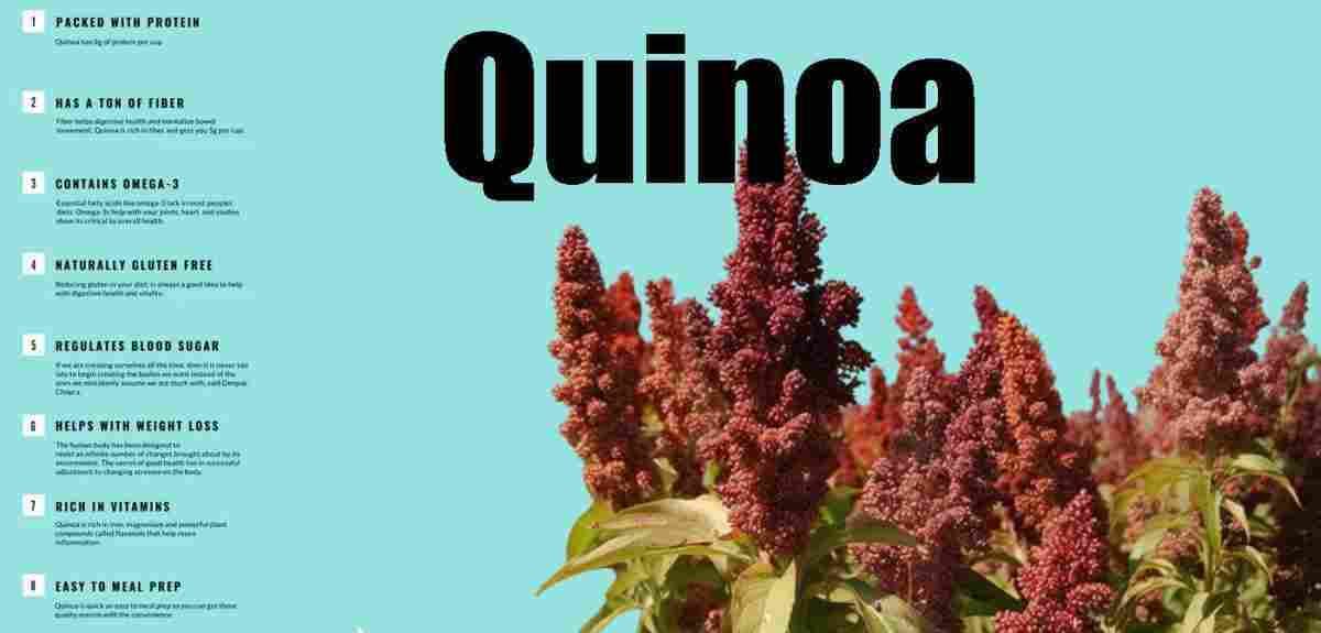 Quinoa Benefits, Precaution, uses & More!