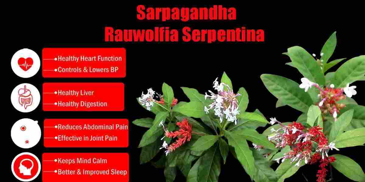 Sarpagandha: Rauwolfia Serpentina Benefits, Uses, Precaution & More!