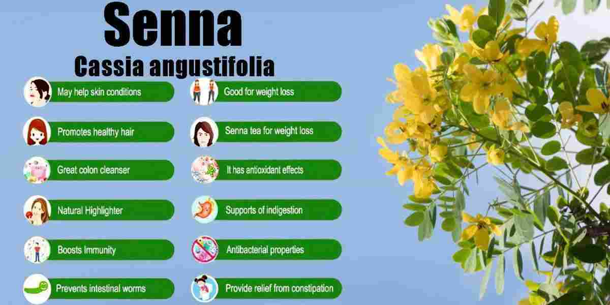 Senna: Cassia angustifolia Benefits, Uses, Precaution & More!