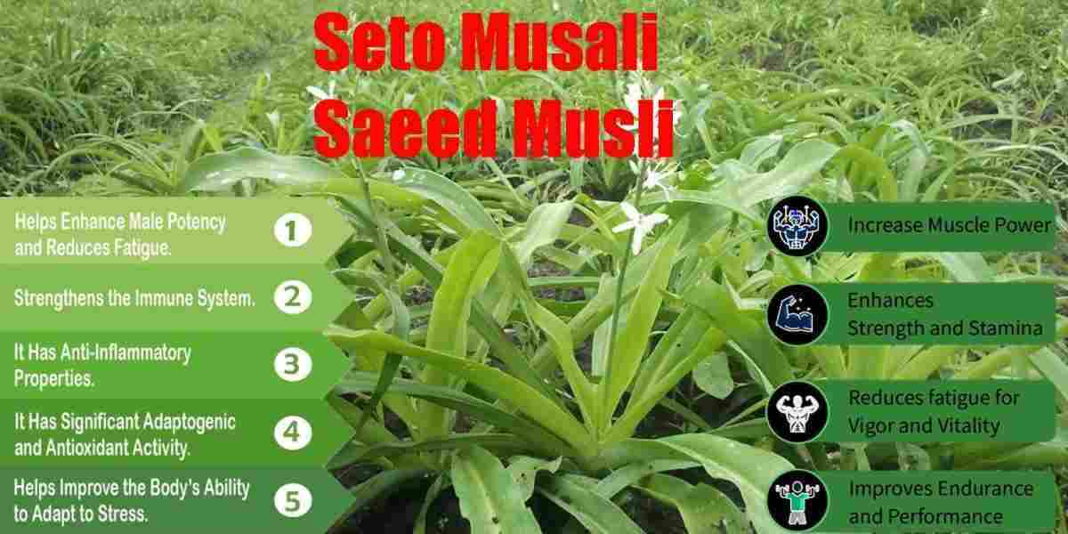 Seto Musali: Safeed Musli: Chlorophytum borivilianum Benefits, Uses, Precaution & More!