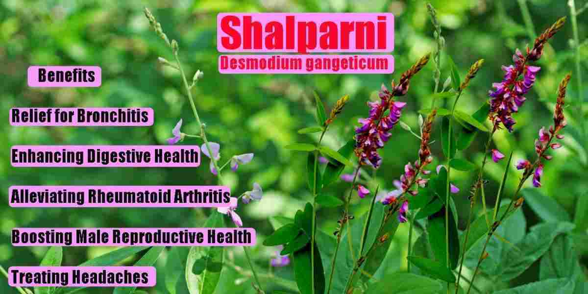 Shalparni: Desmodium gangeticum Benefits, Uses, Precaution, & More!