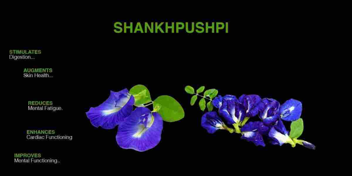 Shankhpushpi: Convolvulus pluricaulis Benefits, Uses, Precaution & More!