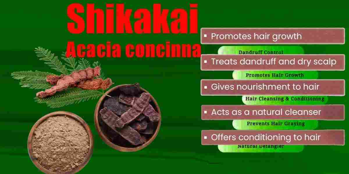 Shikakai: Acacia concinna Benefits, Uses, Precaution & More!